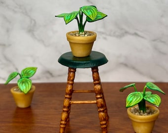Handgemaakte miniatuur Peperomia-plant – poppenhuisplant schaal 1/12