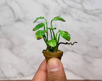 Handgemaakte miniatuur monsteraplant – poppenhuisdecor op schaal 1/12