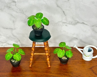Handgemaakte miniatuur alocassia-plant – poppenhuisdecor op schaal 1/12