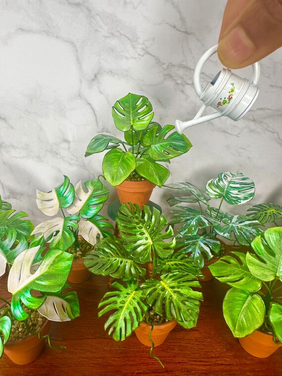 Handgefertigte bunte Miniatur Monstera Pflanze - 1:12 Pflanze fr Puppenhaus