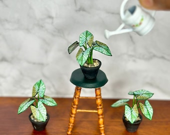 Handgemaakte miniatuur caladiumplant – poppenhuisdecor op schaal 1/12
