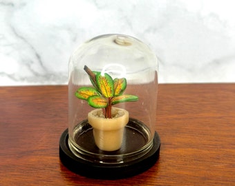 Handgemaakte miniatuur Agalaonema-plant in stolp, poppenhuisdecor
