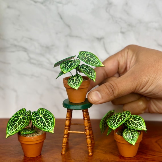 Buy Handmade Miniature Anthurium Crystallinum Plant  1/12 Scale Dollhouse  Plant Online in India - Etsy
