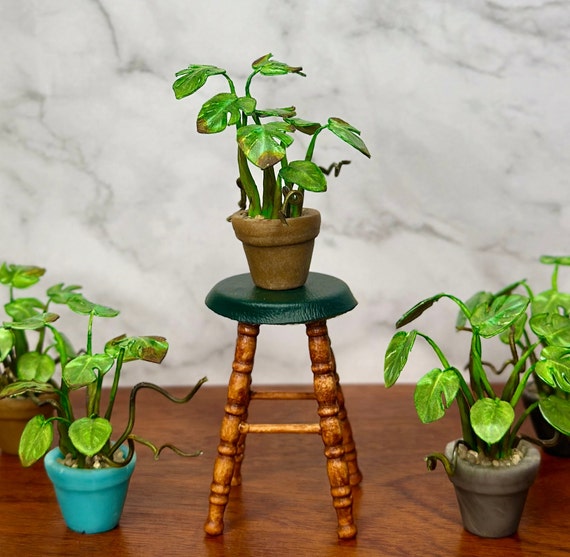 Handmade Miniature Monstera Plant  1/12 Scale Dollhouse Decor - Etsy