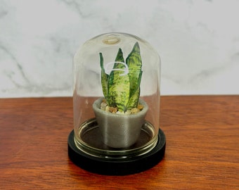 Handgemaakte miniatuur slangenplant in glazen cloche, poppenhuisdecor