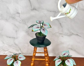 Handgemaakte miniatuur caladiumplant – poppenhuisdecor op schaal 1/12