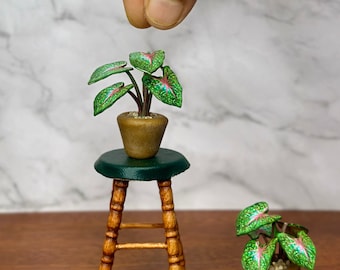 Handgemaakte miniatuur caladiumplant – poppenhuisplant schaal 1/12