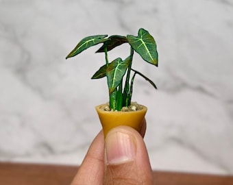 Handgemaakte miniatuur Alocasia Frydek-plant – poppenhuisplant schaal 1/12