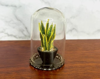 Handgemaakte miniatuur slangenplant in glazen stolp, poppenhuisdecor