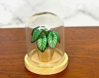 Handgemaakte miniatuur drakenschaalplant in glazen stolp, 1:12 poppenhuisdecor