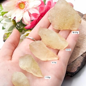 Puede incluir: Cinco piezas de ámbar amarillo, que van desde pequeñas hasta grandes, con medidas de peso en gramos indicadas debajo de cada pieza. El ámbar es translúcido y tiene un aspecto ligeramente nublado.