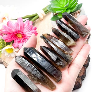 May include: A collection of smoky quartz crystal points, ranging in size and shade of brown. The points are arranged in a hand, with the tips pointing upwards.