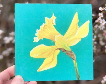 Daffodil - Square Blank Greeting Card