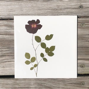 May include: A pressed flower tile featuring a single dark purple rose with green leaves.