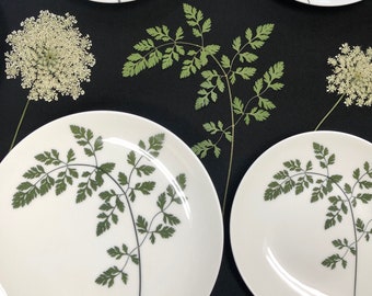 Queen Anne's Lace Porcelain Plates & Bowls - Dishwasher Safe Pressed Floral Dishes