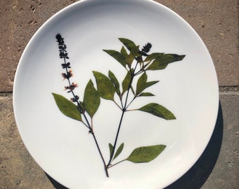 Flowering Thai Basil Porcelain Plates - Pressed Botanical Dishes