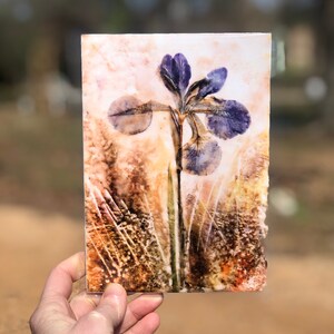 Pressed Purple Iris: Fine Art Print
