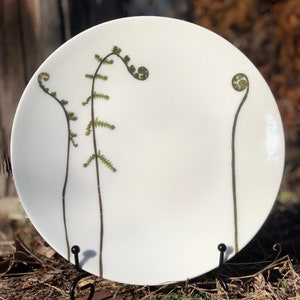 Fiddlehead Fern Porcelain Plates Pressed Botanical Dishes Large Plate 10.50"