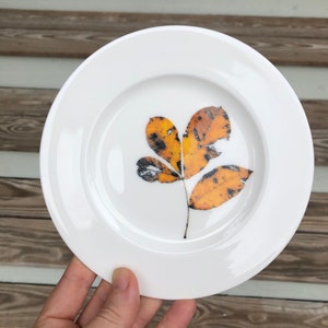 Yellow Fall Leaves Porcelain Plates