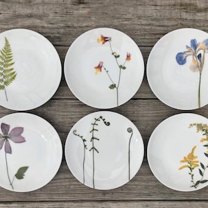 Set of 6 Botanical Porcelain Plates, Fern and Floral Dishes, Durable and Dishwasher Safe image 1