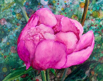 Pink Peony : Glossy Art Print