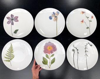 Set of 6 Botanical Porcelain Plates, 10.5 Inch Dinner Plate, Durable  Dishes and Dishwasher Safe