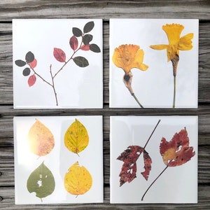 Set of 4 Botanical Ceramic Tiles