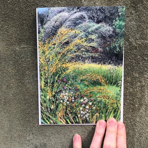 Backyard Goldenrod in October : Blank Greeting Card image 6