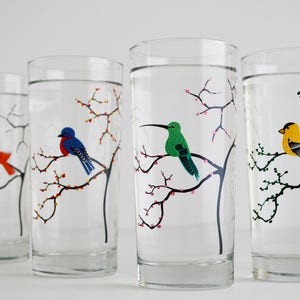 The Four Seasons Bird Glassware 4 Everyday 16 oz Glasses, Cardinal, Hummingbird, Finch and Bluebird Drinking Glasses, The Four Seasons image 2