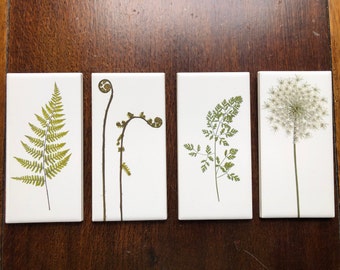 Decorative Wall Hanging Ceramic Tiles - Set of 4 Botanical 3 x 6 inch tiles - Fern, Fiddlehead, Queen Anne's Lace Flower and Leaf