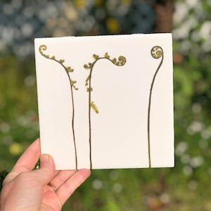Fiddlehead Ferns Ceramic Tile : Indoor and Outdoor Use, Decorative Tiles