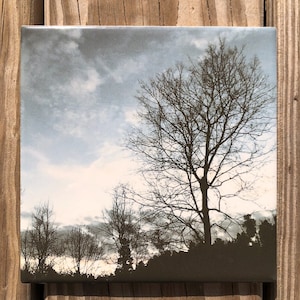 Backyard in Winter Ceramic Tile : Indoor and Outdoor Use, Decorative Tiles