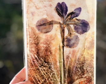 Pressed Purple Iris : Mothers Day Blank Greeting Card, Birthday Card, Botanical Encaustic Wax Artwork