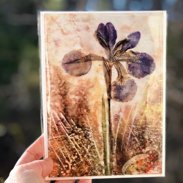 Pressed Purple Iris : Mothers Day Blank Greeting Card, Birthday Card, Botanical Encaustic Wax Artwork