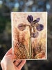 Pressed Purple Iris : Mothers Day Blank Greeting Card, Birthday Card, Botanical Encaustic Wax Artwork 