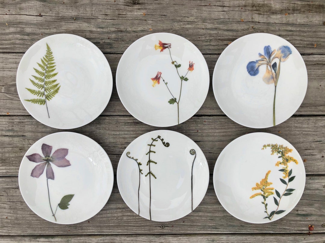 THE BOTANIC GARDEN 皿 6枚セット THE BOTANIC GARDEN 皿 6枚セット 食器・キッチン用品