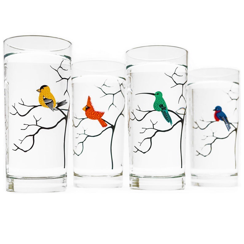 Four Birds Glassware 4 Everyday Water Glasses, Bird Glasses, Cardinal, Bluebird, Golden Finch, Hummingbird, Gifts for Her, Bird Lover image 1