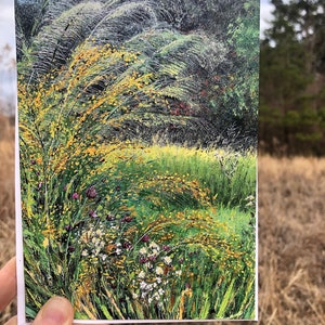 Backyard Goldenrod in October : Blank Greeting Card image 5