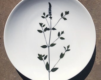 Flowering Peppermint Porcelain Plates - Pressed Botanical Dishes