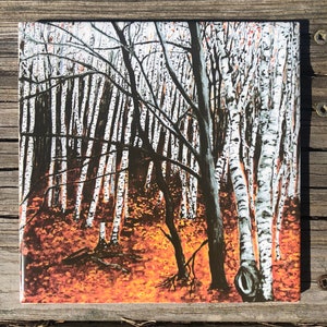 Winter Birch Trees Ceramic Tile : Indoor and Outdoor Use, Kitchen Backsplash, Decorative Tiles