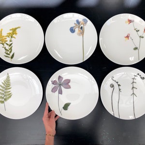 Set of 6 Botanical Porcelain Plates, Fern and Floral Dishes, Durable and Dishwasher Safe 6 plates size 10.50" inches