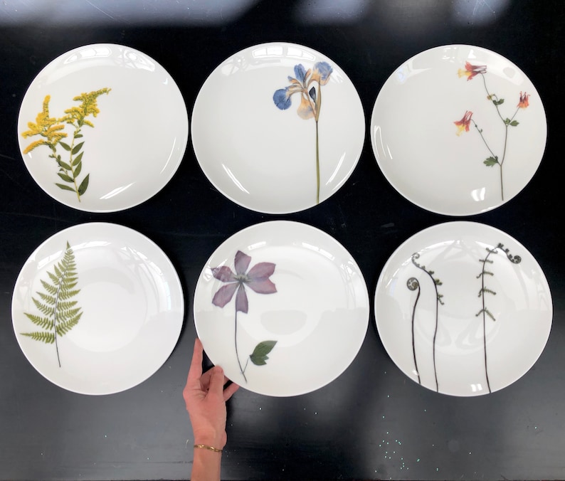 Set of 6 Botanical Porcelain Plates, Fern and Floral Dishes, Durable and Dishwasher Safe 6 plates size 10.50" inches