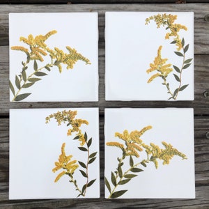 Goldenrod Flower Ceramic Tiles : Indoor and Outdoor Use, Decorative Tiles