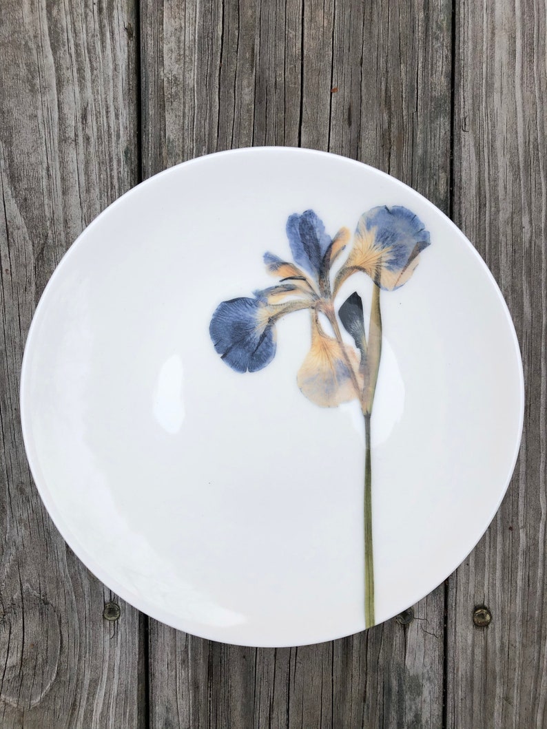 Set of 6 Botanical Porcelain Plates, Fern and Floral Dishes, Durable and Dishwasher Safe image 5