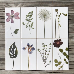 Set of 8 Garden Botanical Ceramic Tiles : Indoor and Outdoor Functional Use, Decorative Tiles