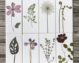 Set of 8 Garden Botanical Ceramic Tiles : Indoor and Outdoor Use, Decorative Tiles