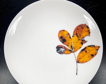 Yellow Fall Leaves Porcelain Plates