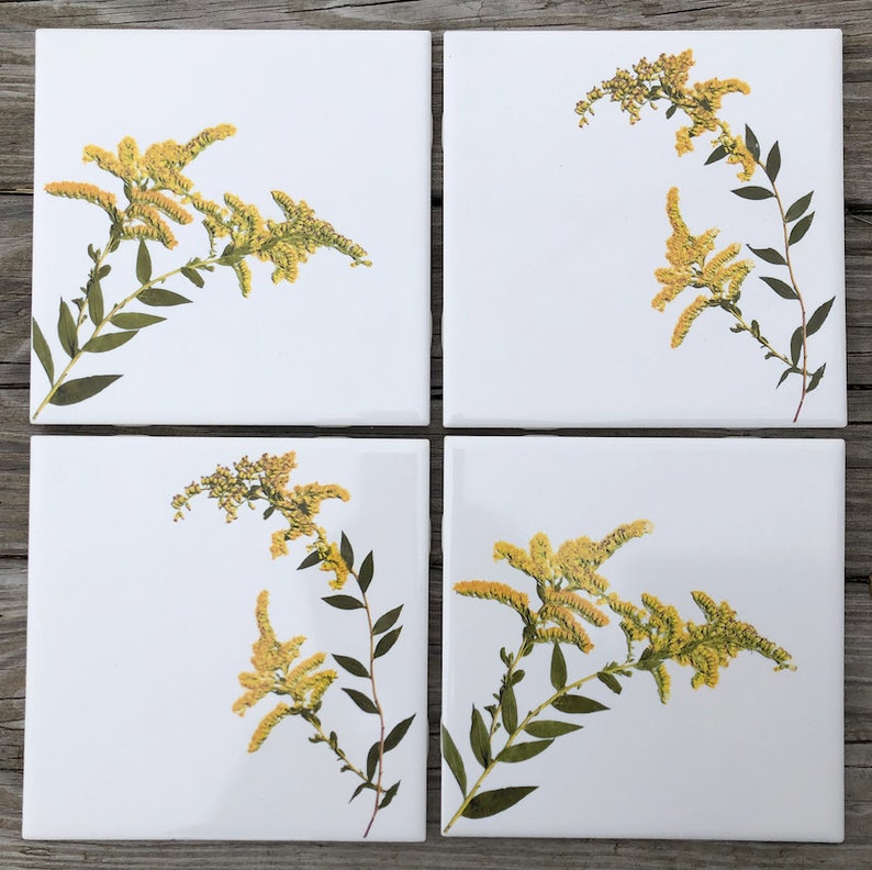 Goldenrod Flower Ceramic Tiles Indoor and Outdoor Use Etsy