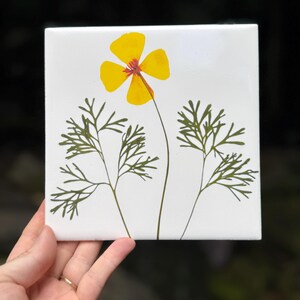California Poppy Ceramic Tiles