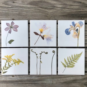 Set of 6 Garden Botanical Ceramic Tiles : Indoor and Outdoor Use, Decorative Tiles